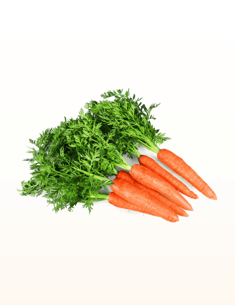 Carottes
