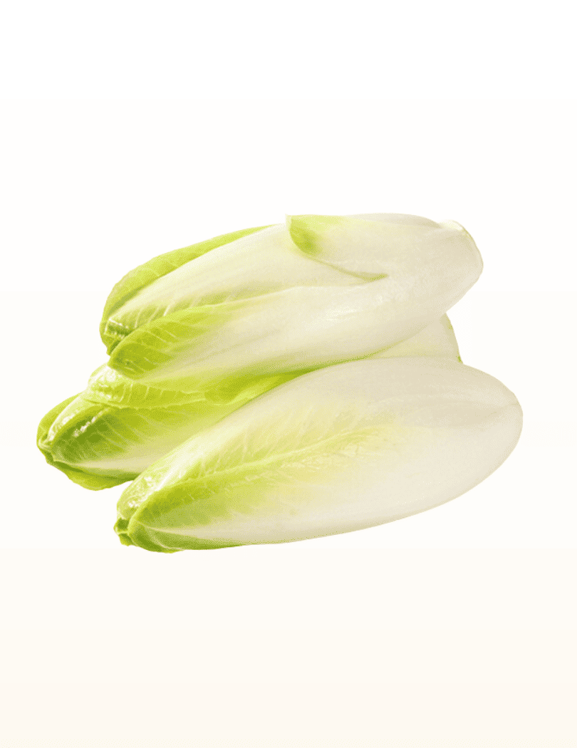 Endive