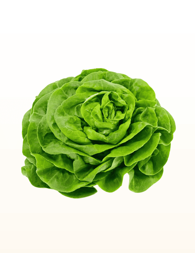 Salade